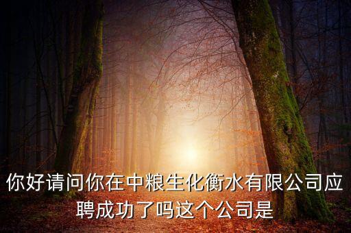 你好請問你在中糧生化衡水有限公司應(yīng)聘成功了嗎這個公司是