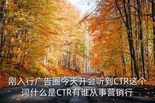 剛?cè)胄袕V告圈今天開會(huì)聽到CTR這個(gè)詞什么是CTR有誰(shuí)從事營(yíng)銷行