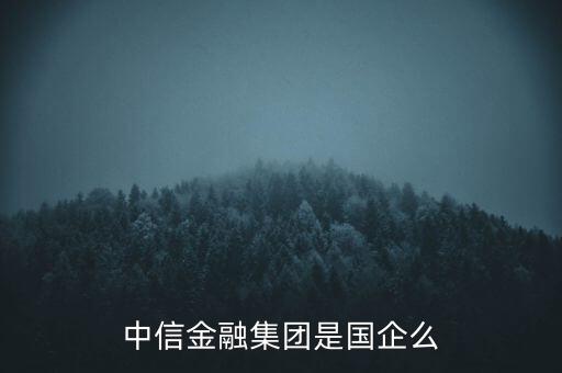 中信金融集團是國企么