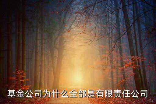 基金公司為什么全部是有限責(zé)任公司