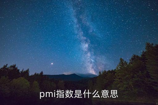 pmi指數(shù)是什么意思