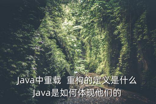 Java中重載  重構的定義是什么Java是如何體現(xiàn)他們的