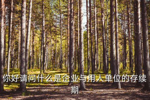 什么叫存續(xù)合同，法律上所謂的續(xù)存是什么意思