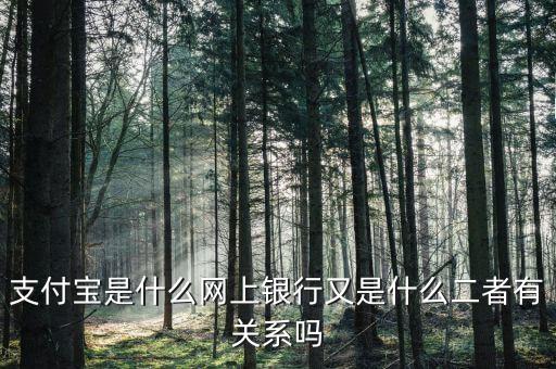 支付寶屬于什么金融，支付寶是隸屬于哪個金融機構(gòu)管理的