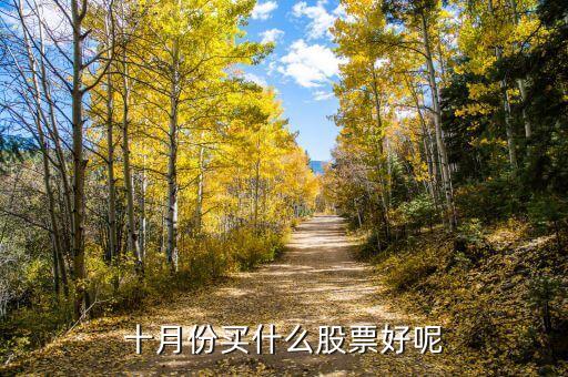 10月19日買什么股，2015年10月19日股民李先生以每股1825元的價格買進(jìn)某股票100股