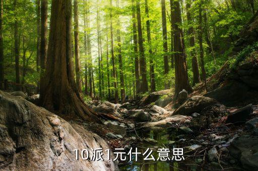 基金10派1是什么意思，山東墨龍股10轉(zhuǎn)10派1是什么意思