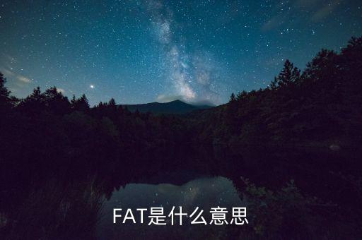 fatca指什么，F(xiàn)AT是什么意思