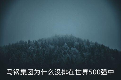 馬鋼集團(tuán)為什么沒(méi)排在世界500強(qiáng)中