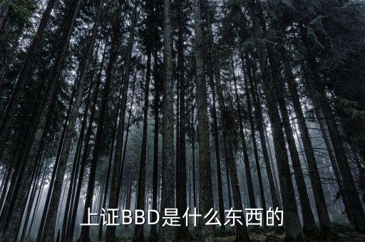 bbd凈差是什么意思，上證BBD是什么東西的