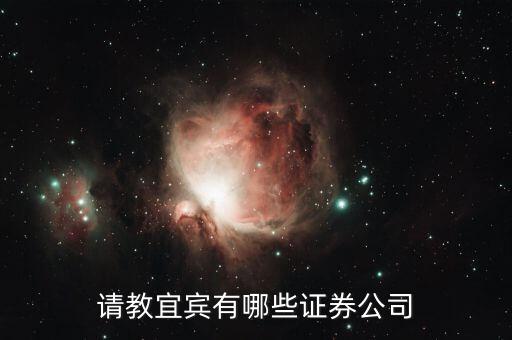 宜豐有什么證券公司，請教宜賓有哪些證券公司