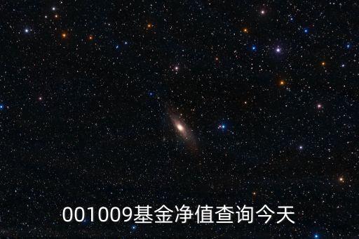 001009基金凈值查詢今天