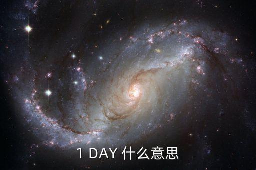 天天發(fā)1天期什么意思，1 DAY 什么意思