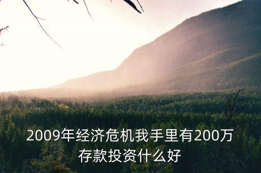 2009年經(jīng)濟(jì)危機我手里有200萬存款投資什么好