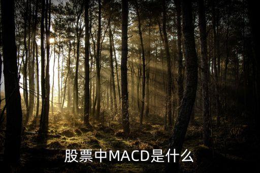 股市MACD線是什么意思，股票中MACD是什么意思