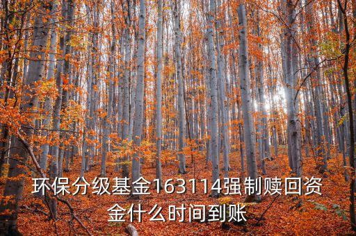 163114什么時候開盤，163114是個什么玩意啊賣也賣不出