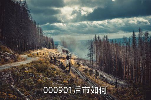 000901屬于什么股票，中國航天科技集團(tuán)和000901是一個嗎