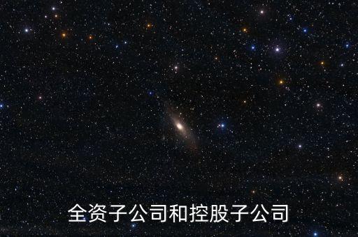 全資控股子公司是什么意思，全資子公司是怎么意思啊