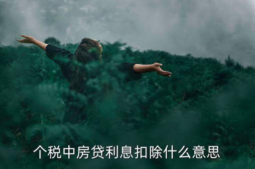 房貸利息抵扣個稅什么意思，個稅中房貸利息扣除什么意思