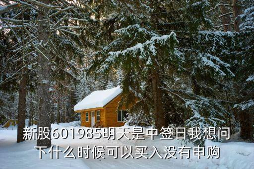 601985什么時候上市的，中國核電什么時候上市中國核電股票代碼多少