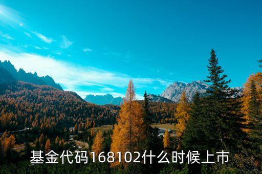 168101基金什么時(shí)候上市，基金代碼168102什么時(shí)候上巿