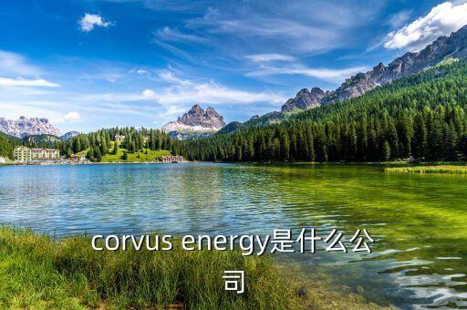 凱富能源是什么公司，corvus energy是什么公司