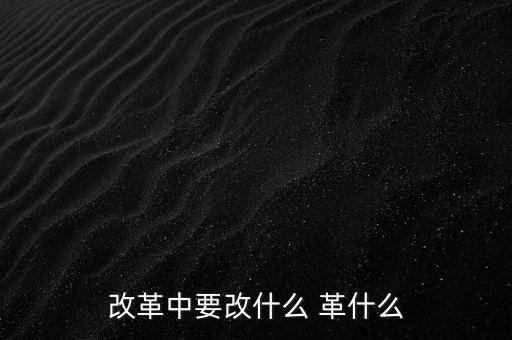 改革中要改什么 革什么