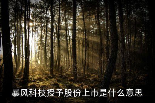 暴風(fēng)科技授予股份上市是什么意思