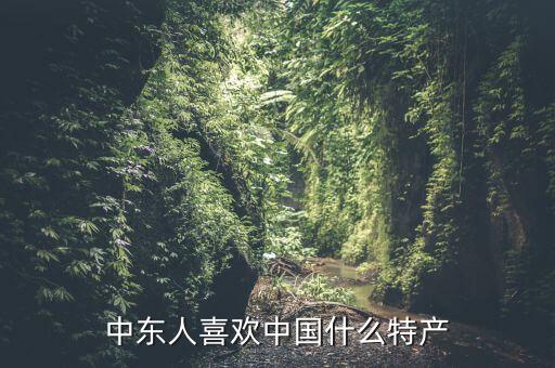 中東人喜歡中國(guó)什么特產(chǎn)