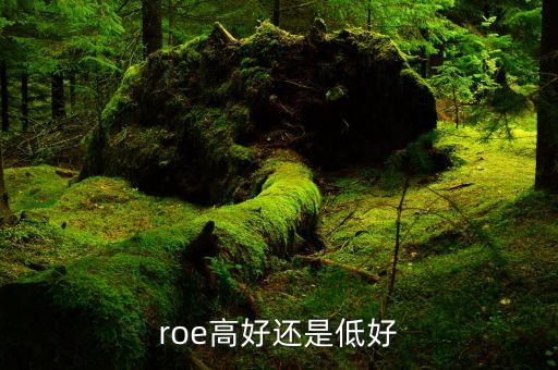 roe低說明什么，凈資產(chǎn)收益率反應(yīng)了些什么