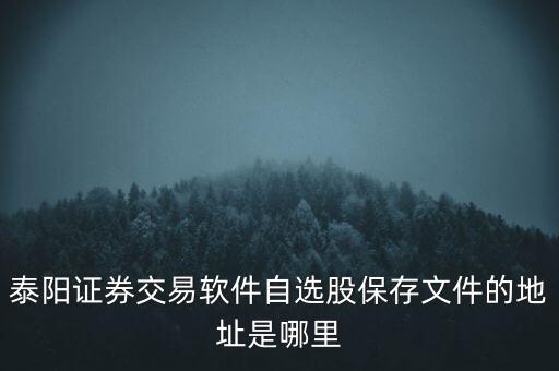 泰陽(yáng)證券交易軟件自選股保存文件的地址是哪里