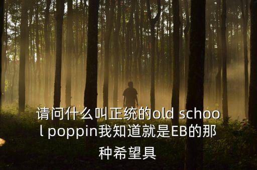 請問什么叫正統(tǒng)的old school poppin我知道就是EB的那種希望具