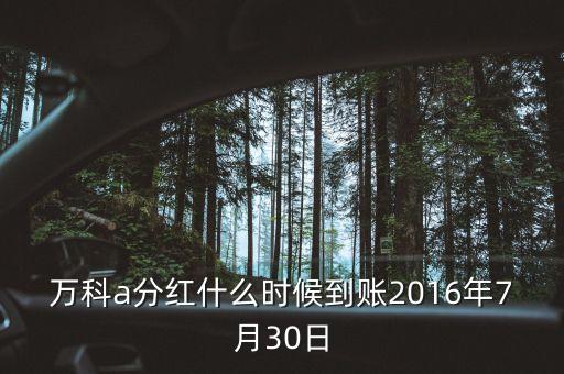 利君2016年的分紅什么時(shí)候到帳，2016年十二月以后垮行轉(zhuǎn)賬最遲多久到帳