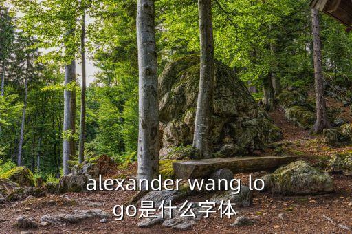 alexander wang logo是什么字體