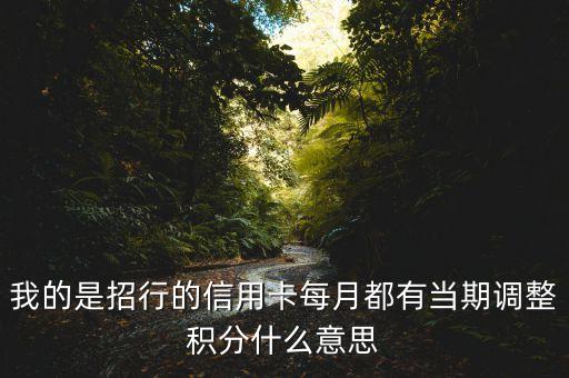 我的是招行的信用卡每月都有當(dāng)期調(diào)整積分什么意思