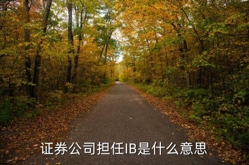 證券公司擔(dān)任IB是什么意思