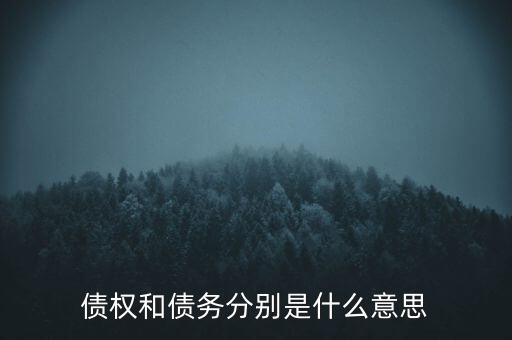 bsp票款債權(quán)是什么，銀行理財業(yè)務(wù)里面的liborbsp是什么意思