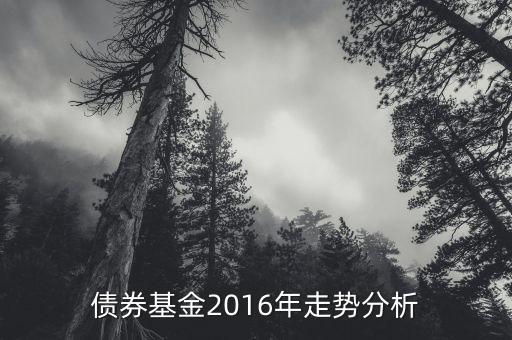 2016年的債券的投資的方向是什么，債券基金2016年走勢分析