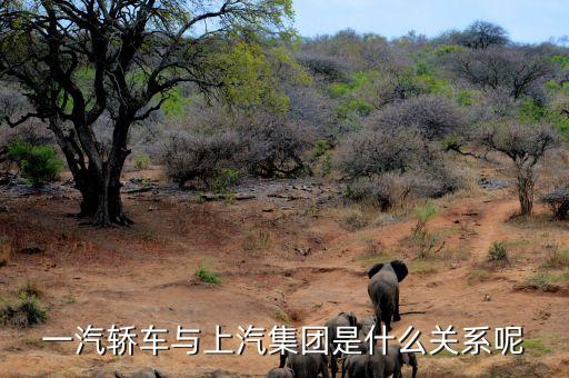 一汽轎車與上汽集團是什么關(guān)系呢