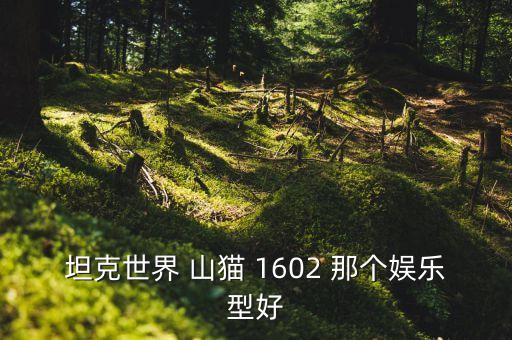 坦克世界 山貓 1602 那個娛樂型好