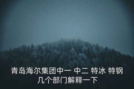 海爾內(nèi)銷是什么意思，有帶鎖的冰箱么冷藏冷凍功能都要有的謝謝