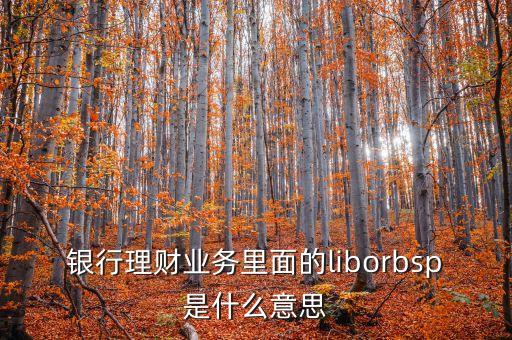 銀行理財(cái)業(yè)務(wù)里面的liborbsp是什么意思