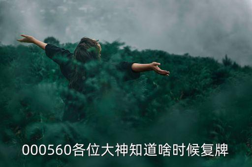 精功科技什么時(shí)候復(fù)牌，000560各位大神知道啥時(shí)候復(fù)牌