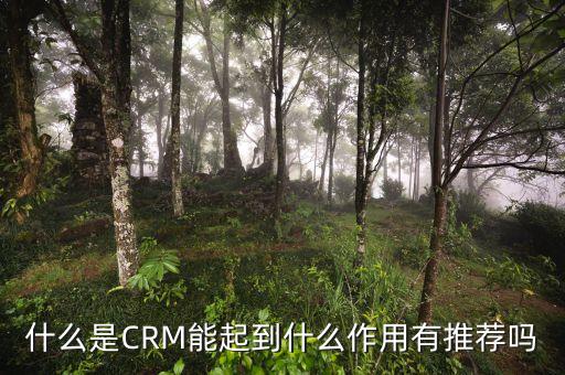 什么是CRM能起到什么作用有推薦嗎