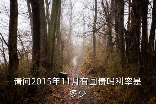 201511月發(fā)行什么國(guó)債，請(qǐng)問(wèn)2015年11月有國(guó)債嗎利率是多少