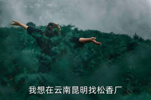 我想在云南昆明找松香廠