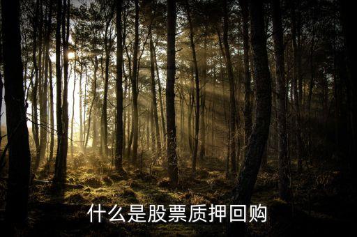 什么是股票質押式回購業(yè)務，股票質押式回購交易的定義