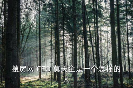 搜房網(wǎng) CEO 莫天全是一個怎樣的人