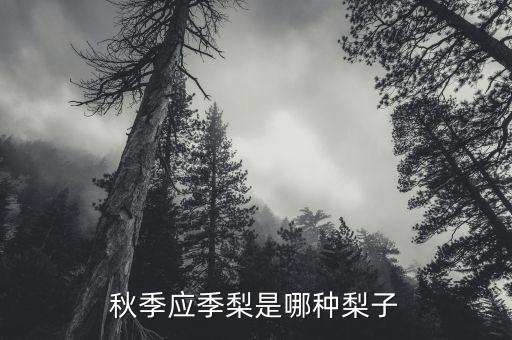 秋季應(yīng)季梨是哪種梨子