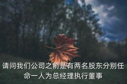 請(qǐng)問我們公司之前是有兩名股東分別任命一人為總經(jīng)理執(zhí)行董事