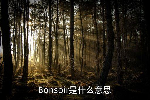 卓易云是什么，Bonsoir是什么意思